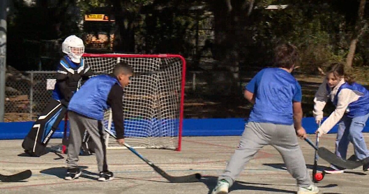 Lightning bring ball hockey to Tampa Bay youth by donating equipment
