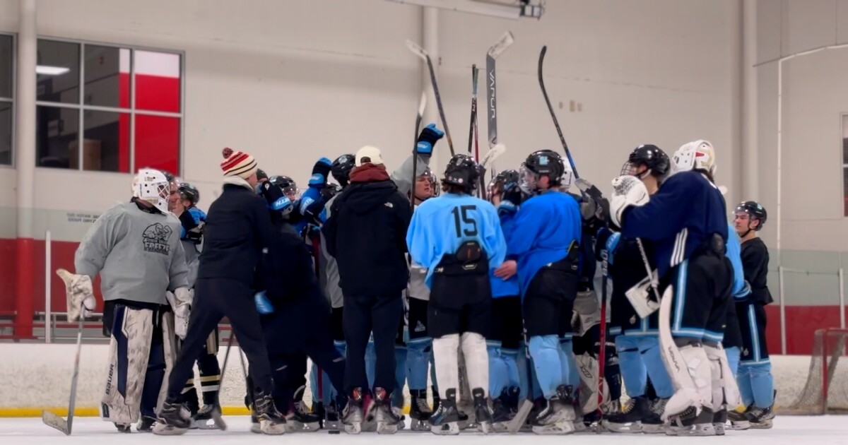 Fresh Coast Freeze brings junior hockey opportunities to West Michigan