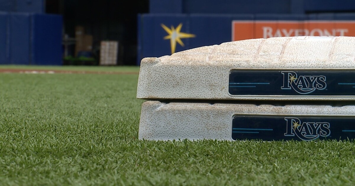 Rays react to DeSantis and Florida Cabinet approving state land for new stadium