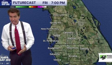 Dense fog and rain expected in Tampa Bay