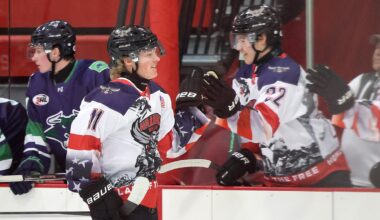 Junior hockey: This WarHawk/Warrior takes on 2 sports at once - West Central Tribune