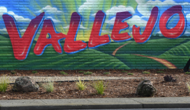 Olympics are over, but local playoffs, NHL return – Times Herald Online