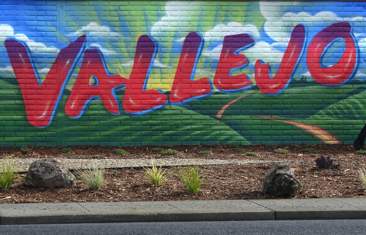 Olympics are over, but local playoffs, NHL return – Times Herald Online