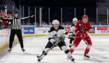 Allen Americans | Americans Weekly