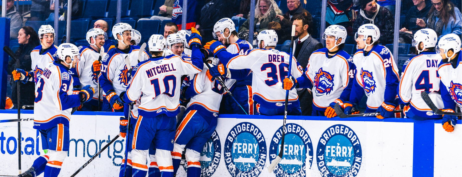 Bridgeport Islanders Weekly Update 2/2 - 2/9