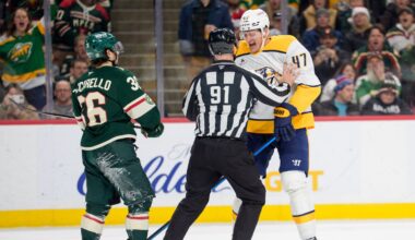 MN Wild Trade for Center Help and It's Not a Good Look for Nico Sturm