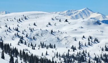 Skier Killed in Avalanche Near Vail Pass, CO, Marking State’s 1st Avalanche Fatality of 2025–26 Season