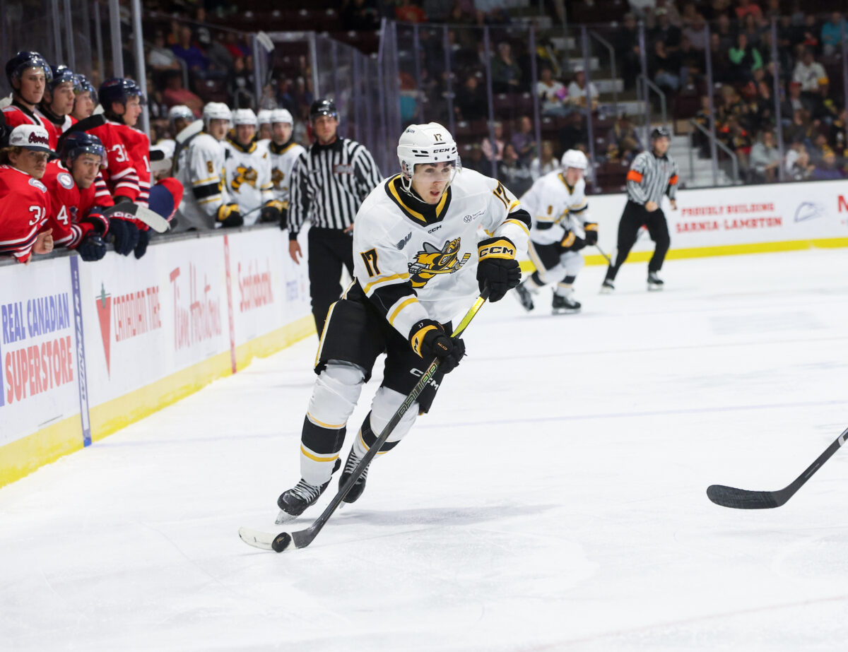 Alessandro Di Iorio Sarnia Sting