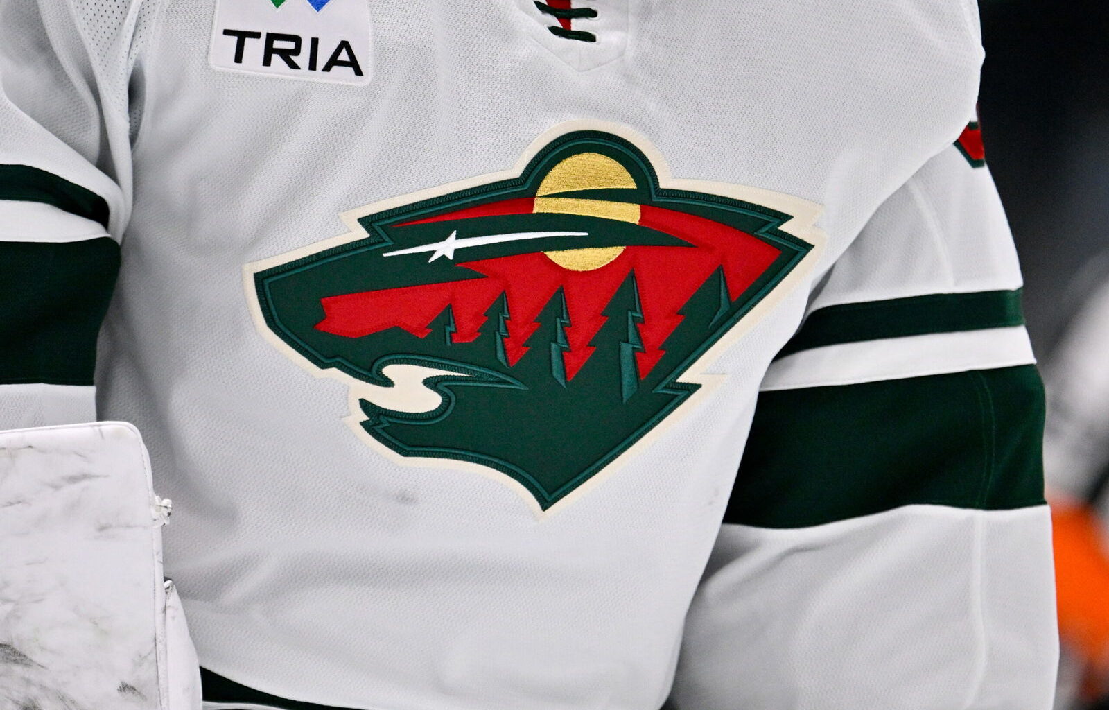 How Did “Wild” Become the Face of Minnesota Hockey? – The Lead