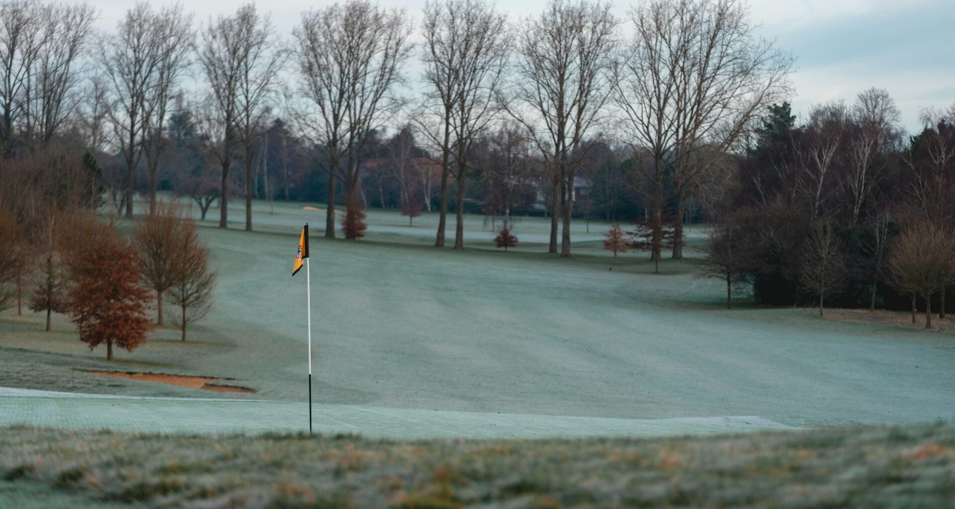 Another pair of days off