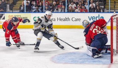 <div>(Courtesy: Milwaukee Admirals)</div>