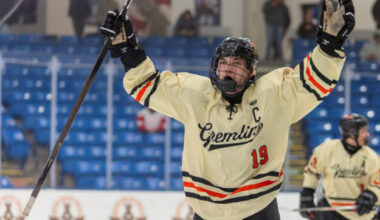 Michigan announces All-State hockey selections | News, Sports, Jobs