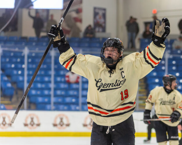 Michigan announces All-State hockey selections | News, Sports, Jobs