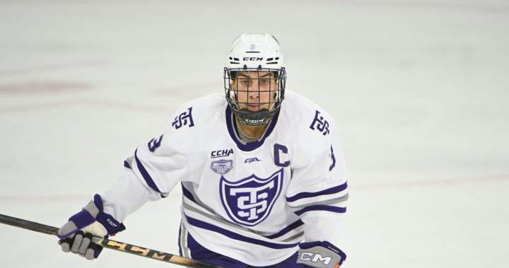 Winnipeg Jets sign forward Lucas Wahlin to 1-year, 2-way contract - Winnipeg