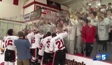 Beekmantown boys hockey punches ticket to state final four