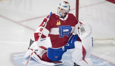Habs recall Fowler from AHL Laval