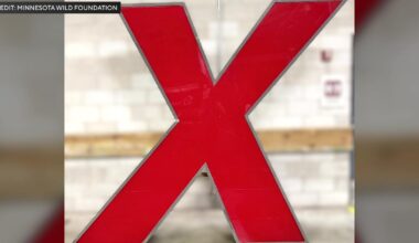 "X" from Xcel Energy Center rooftop sign sells for $21K in auction