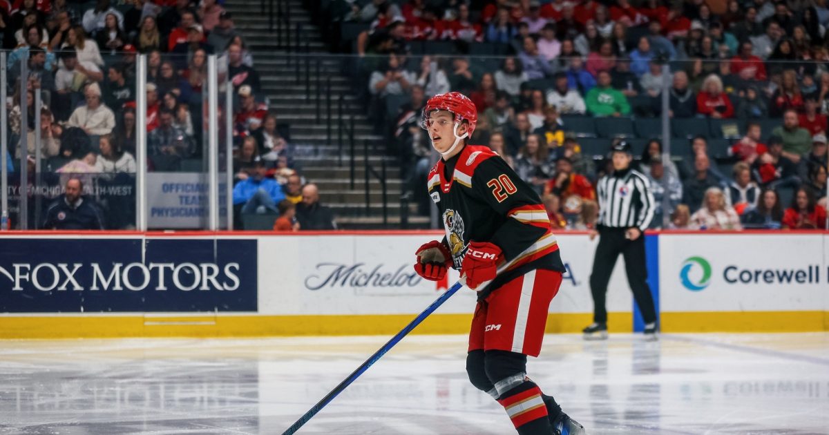 Grand Rapids Griffins | ANTON JOHANSSON REASSIGNED TO GRAND RAPIDS