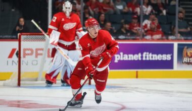 Grand Rapids Griffins | Axel Sandin-Pellikka Reassigned to Griffins