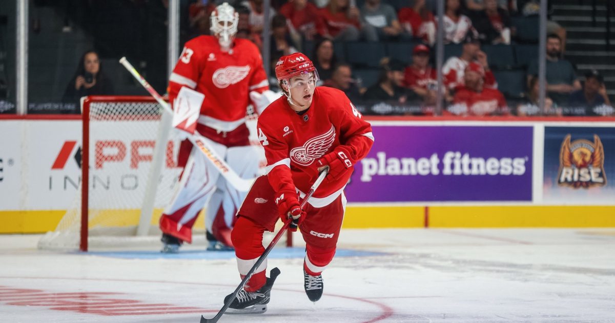 Grand Rapids Griffins | Axel Sandin-Pellikka Reassigned to Griffins