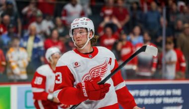 Math Still Works for Red Wings in NHL Playoffs