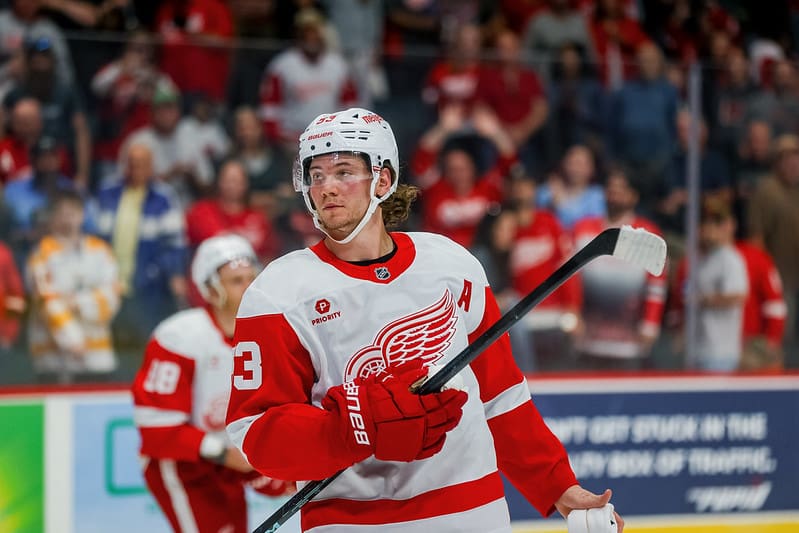 Math Still Works for Red Wings in NHL Playoffs