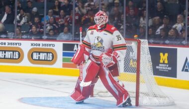 Red Wings Assign Reinforcements To AHL Griffins / DHN