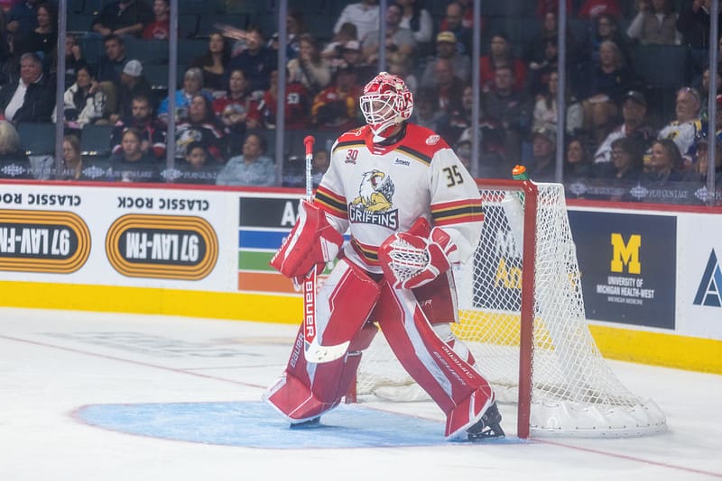 Red Wings Assign Reinforcements To AHL Griffins / DHN