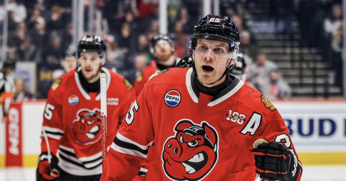 Rockford IceHogs | Blackhawks Recall Dominic Toninato From IceHogs
