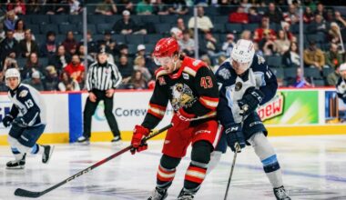 Grand Rapids Griffins | Carter Mazur Recalled by Detroit