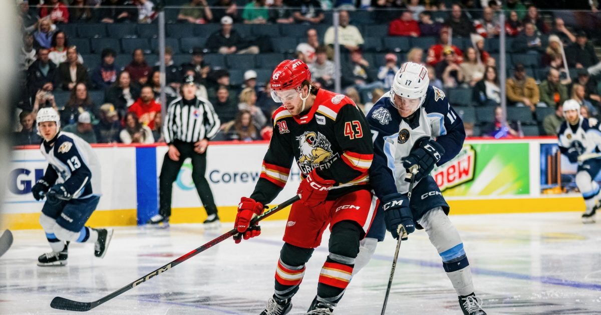 Grand Rapids Griffins | Carter Mazur Recalled by Detroit
