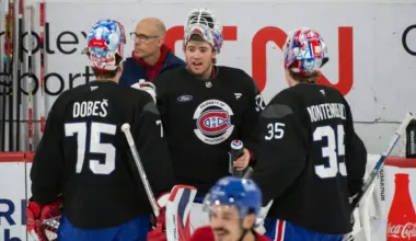 Photo of Jakub Dobes, Jacob Fowler and Samuel Montembeault.