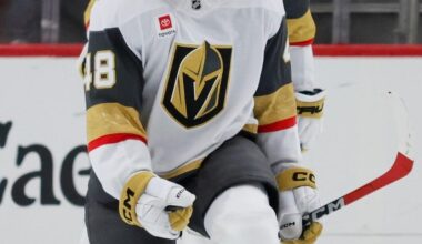 Hertl’s late power-play winner in OT caps Golden Knights’ rally past Red Wings | Pro National Sports