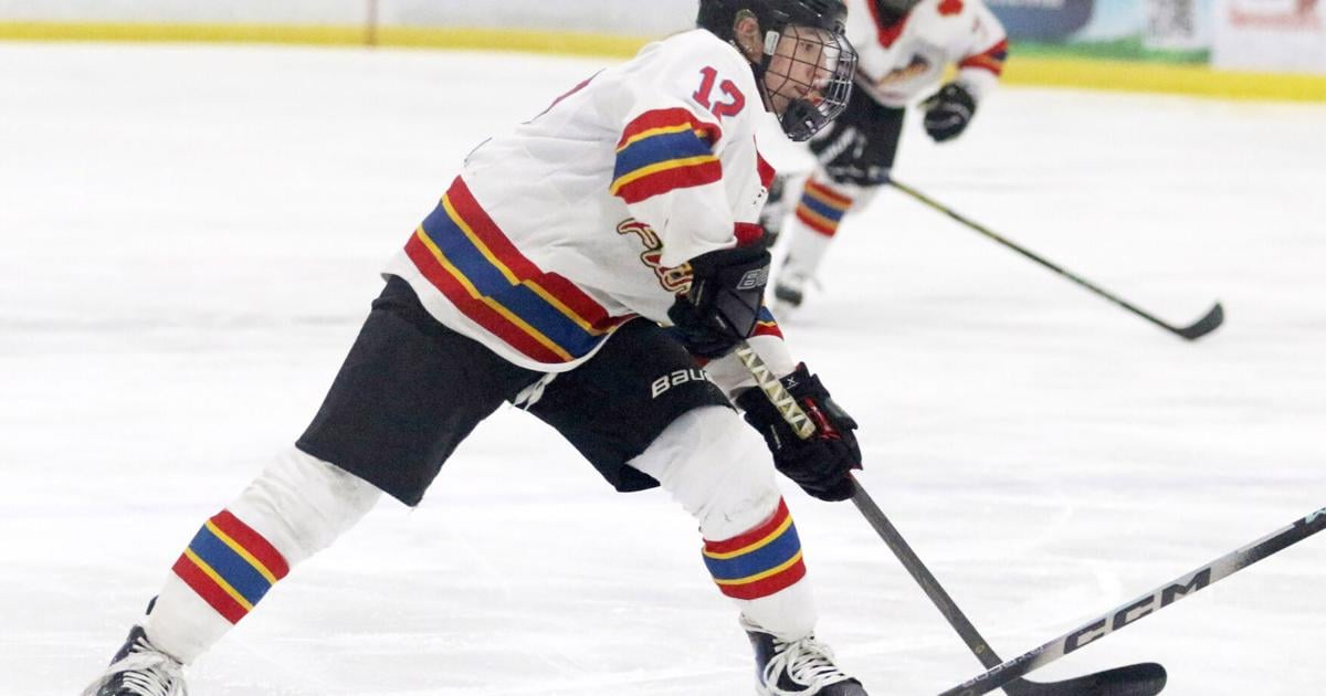 WHCA All-State team honors six area hockey players | Sports