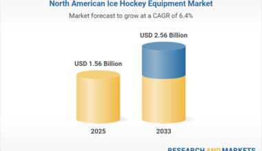 North America $2.5+ Bn Ice Hockey Equipment Market Analysis 2025-2033 by Leading Companies, Product Type, End User, Category, Distribution Channel, Countries