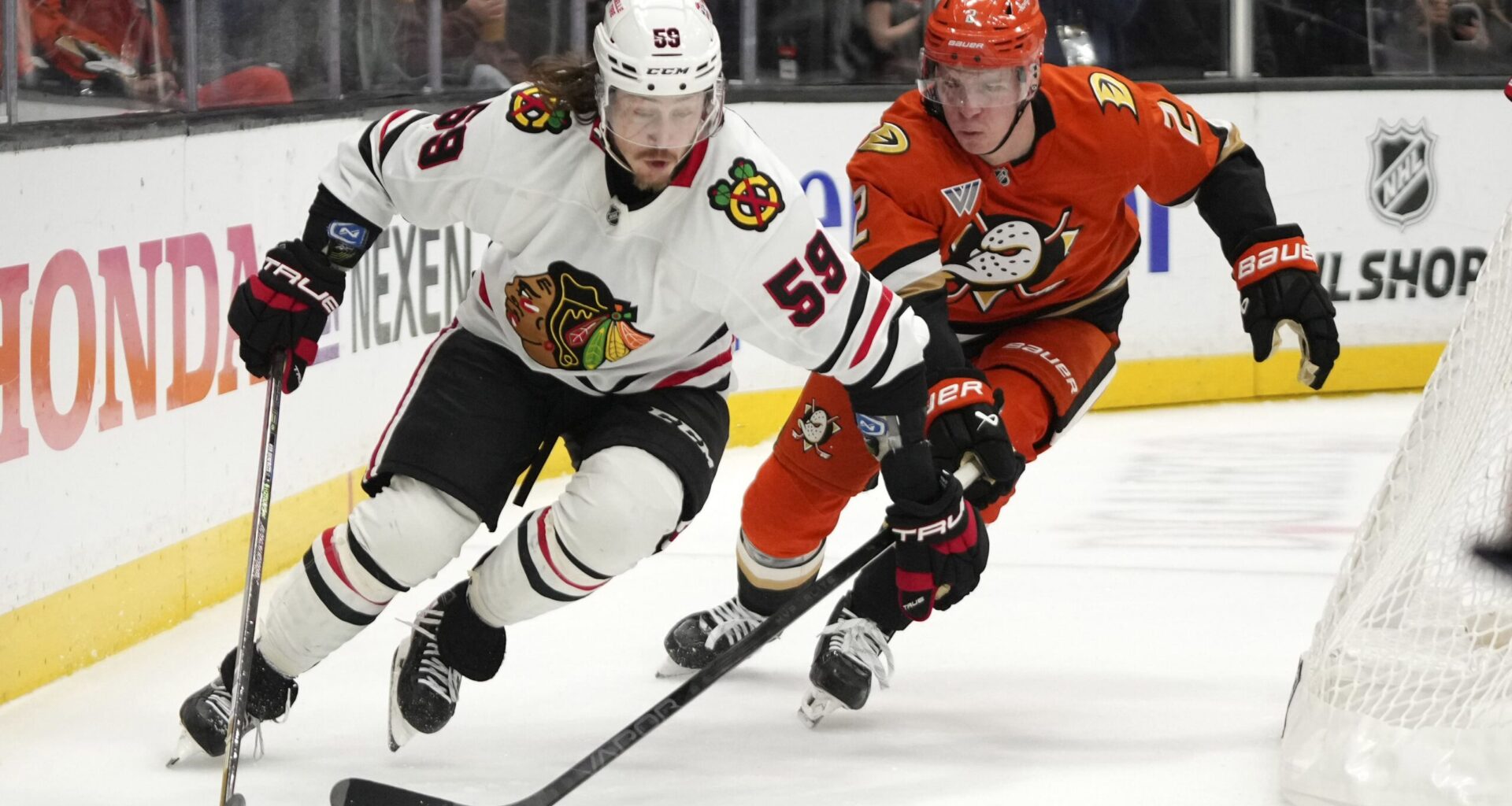 Bedard Faces Carlsson, Preview, Lineups, & How To Watch