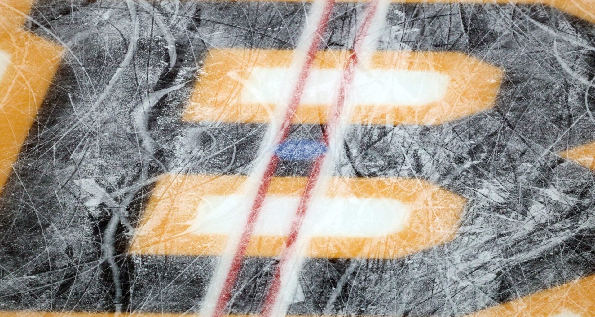 Daily Bean: Bruins, Blue Jackets, and Red Wings Win, Schaefer Hits 50 Points