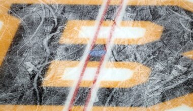 Daily Bean: Bruins, Blue Jackets, and Red Wings Win, Schaefer Hits 50 Points