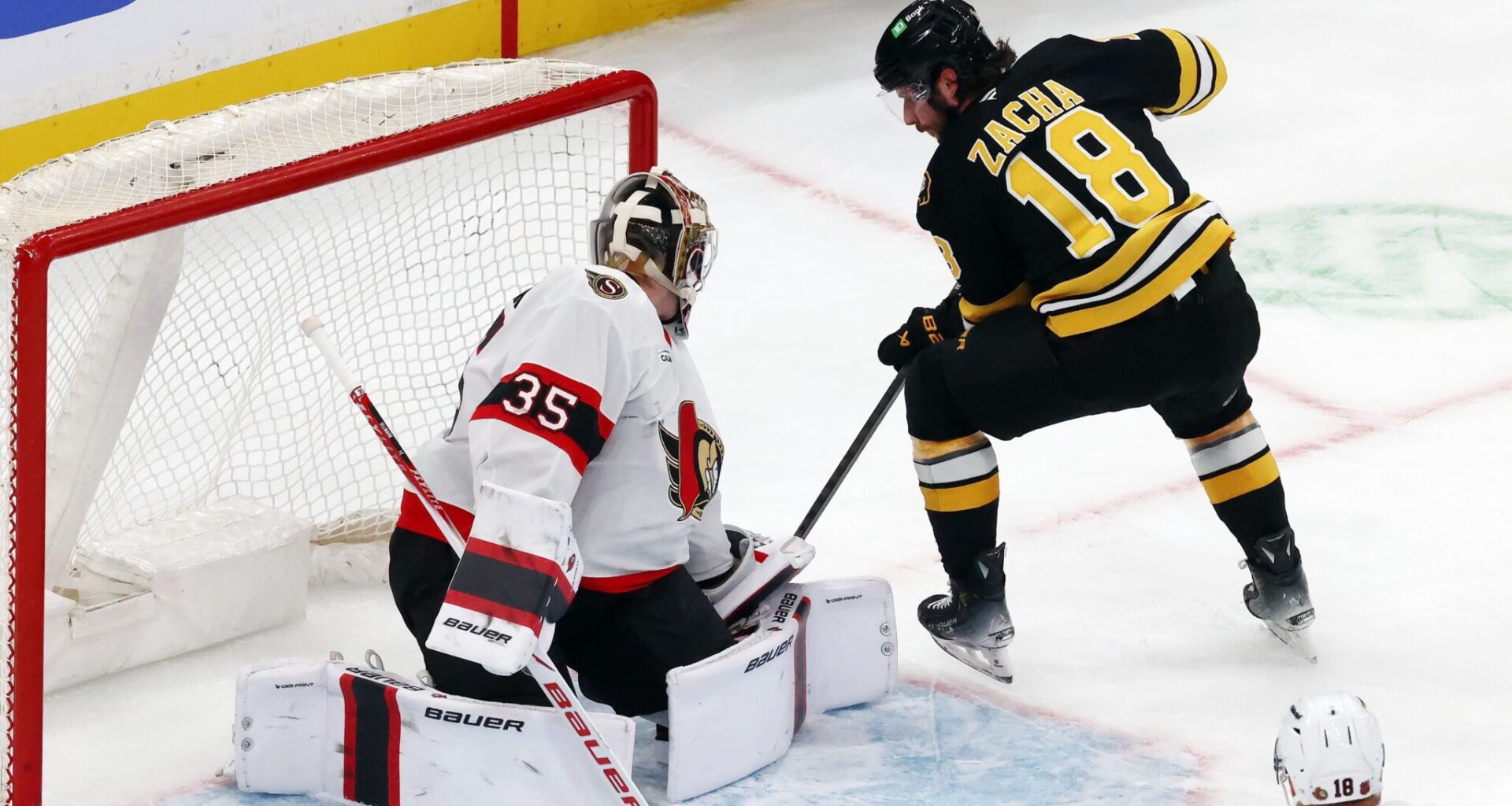 Zacha Reaches Career-Highs as Bruins Enter Final Stretch