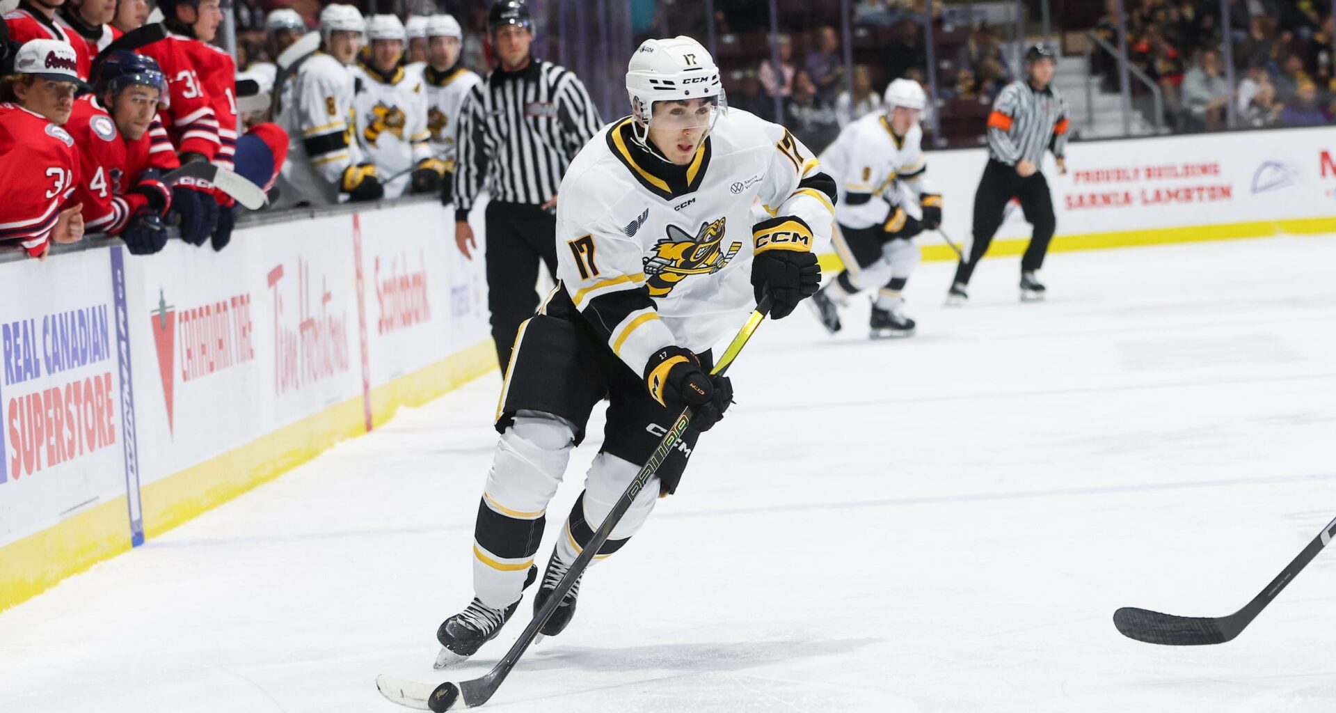 Alessandro Di Iorio – 2026 NHL Draft Prospect Profile - The Hockey Writers - NHL Entry Draft