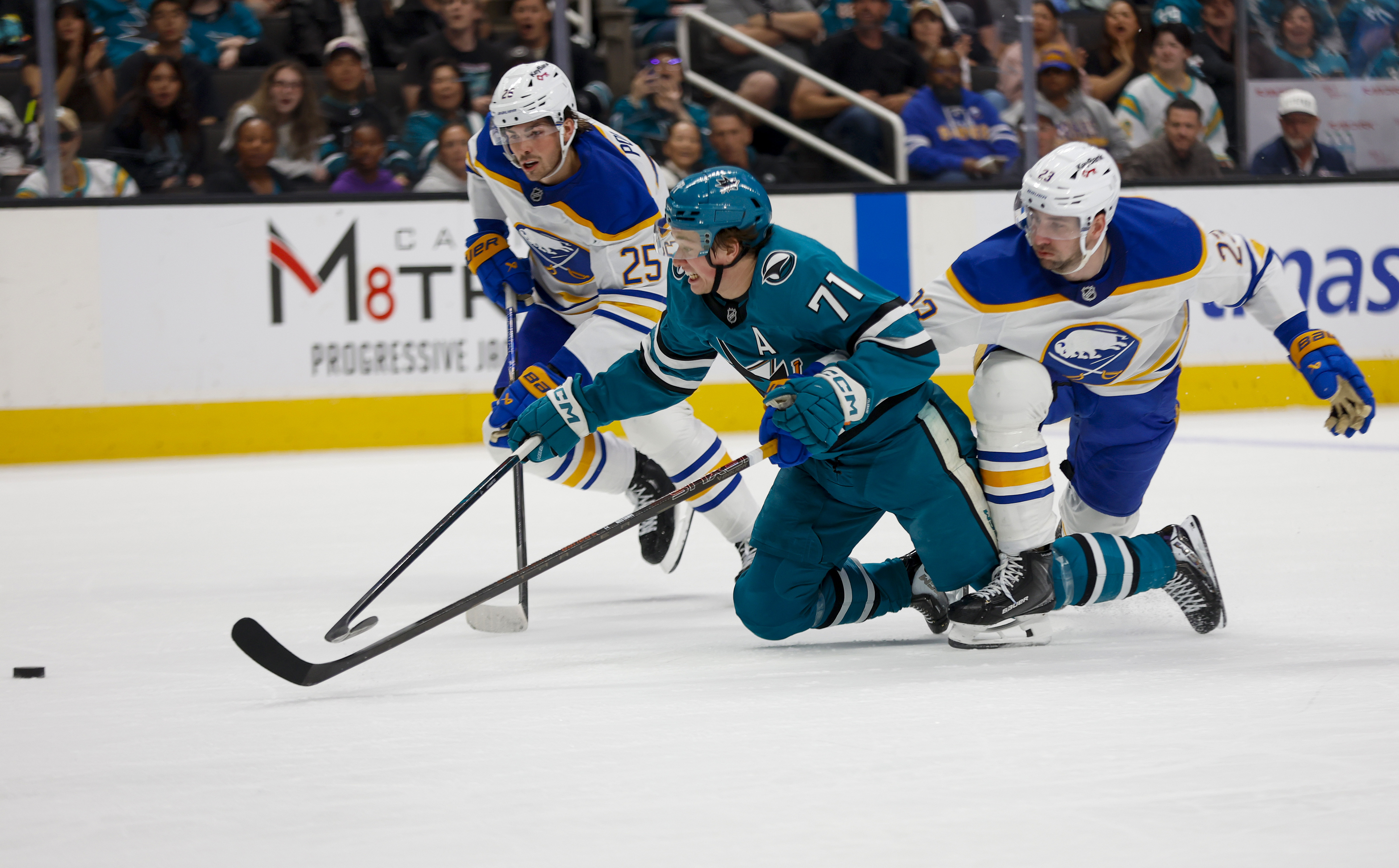San Jose Sharks' Macklin Celebrini (71) falls to the ice...