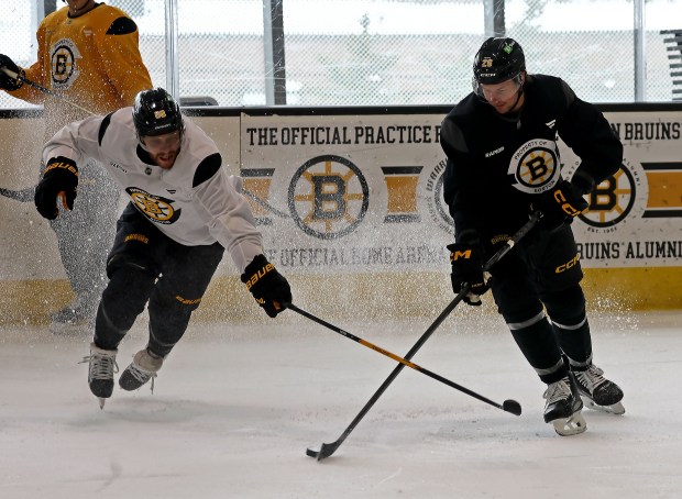 Boston Bruins right wing David Pastrnak (88) reaches at Bruins defenseman Andrew Peeke (26) as the Bruins hold a recent practice. (Staff photo by Stuart Cahill)