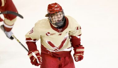 Bruins, James Hagens agree to AHL tryout deal