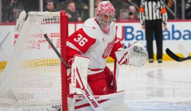 Red Wings' John Gibson injured in win over Devils