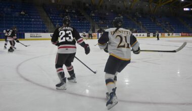 Quinnipiac women’s ice hockey falls to Brown 3-2 in overtime, evens quarterfinal series
