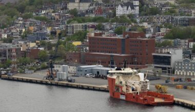 Multi-brawl game that drew 572 penalty minutes a 'black eye' on N.L. hockey: official - CTV News