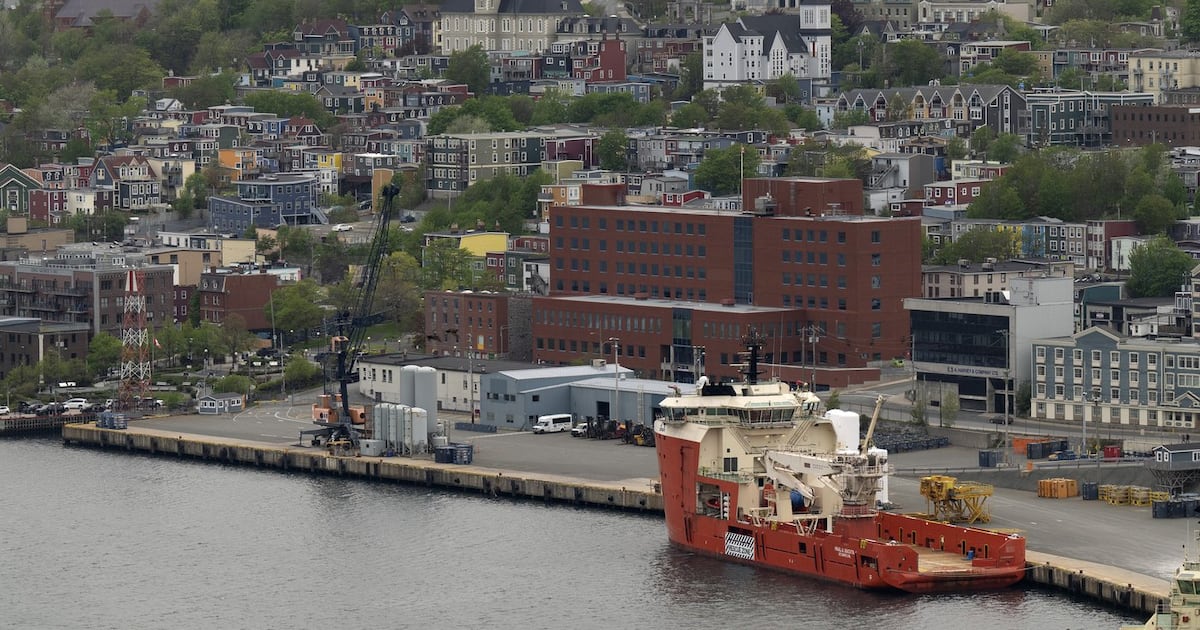 Multi-brawl game that drew 572 penalty minutes a 'black eye' on N.L. hockey: official - CTV News