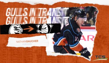 Anaheim Ducks Recall Nathan Gaucher From San Diego