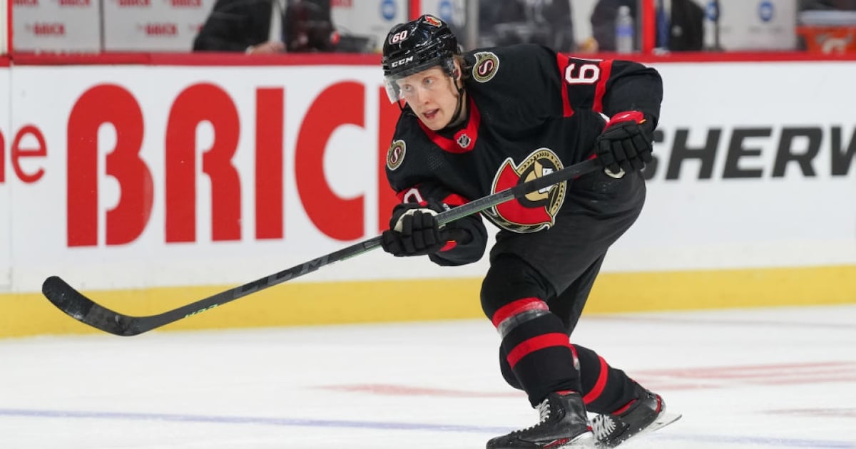 Ottawa Senators recall defenceman Lassi Thomson from Belleville