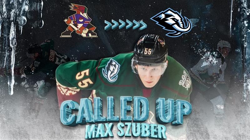 Tucson Roadrunners Hockey